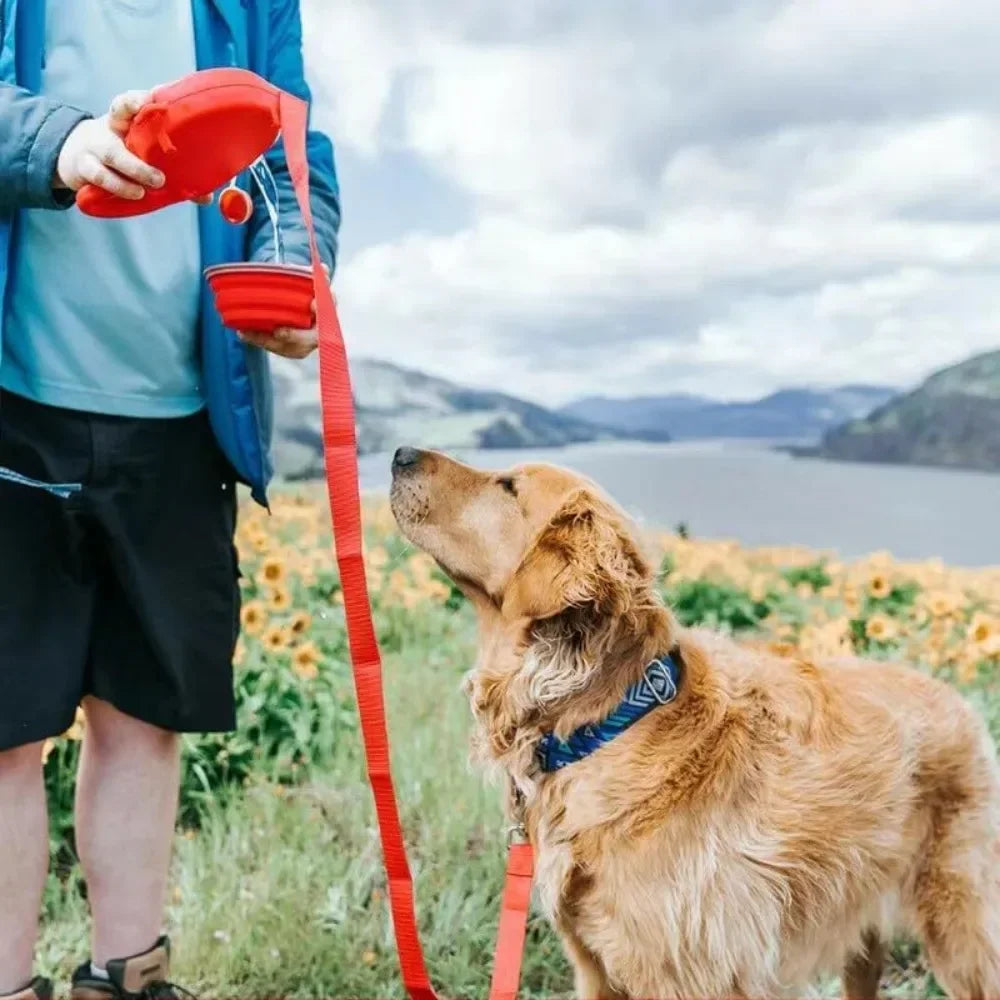 All In Lead