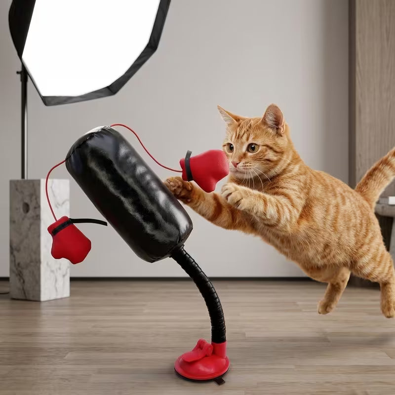 Punch Bag
